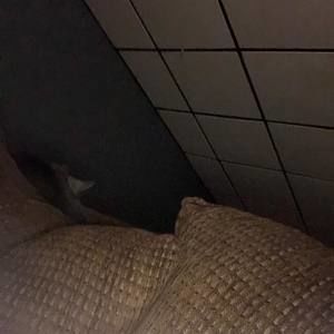 Meet your Posher, Conner